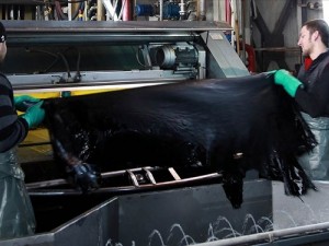 Hakiki Deri Telefon Kılıfı Modelleri